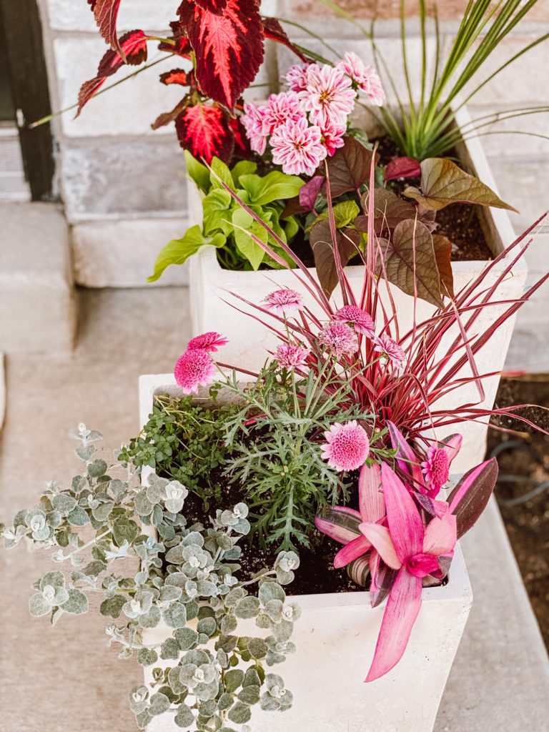 modern porch planter