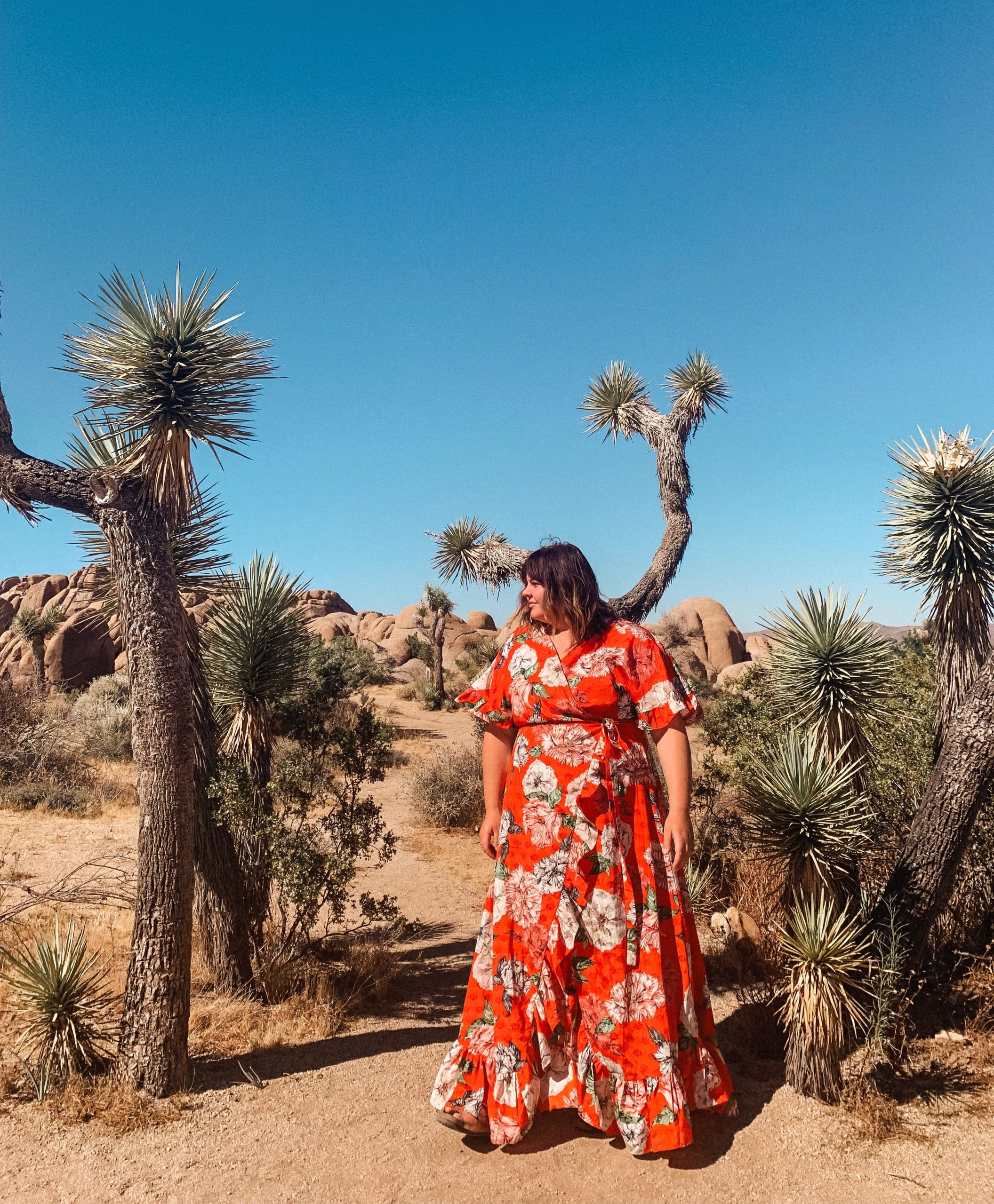 exploring joshua tree national park