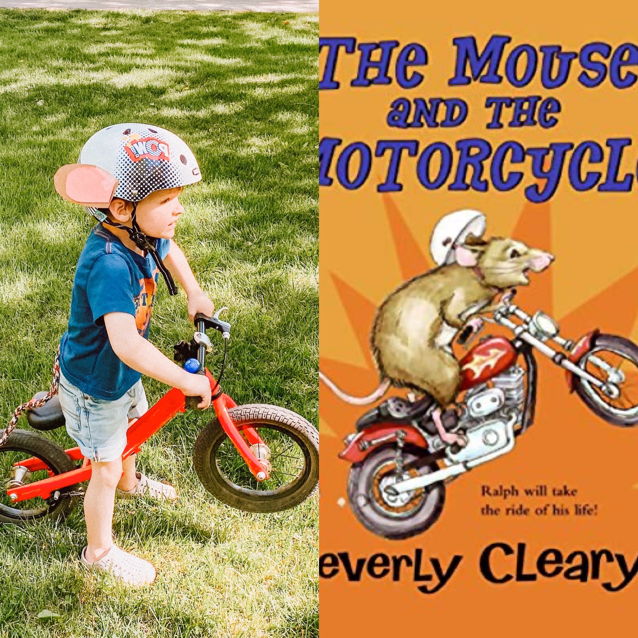the mouse and the motorcycle