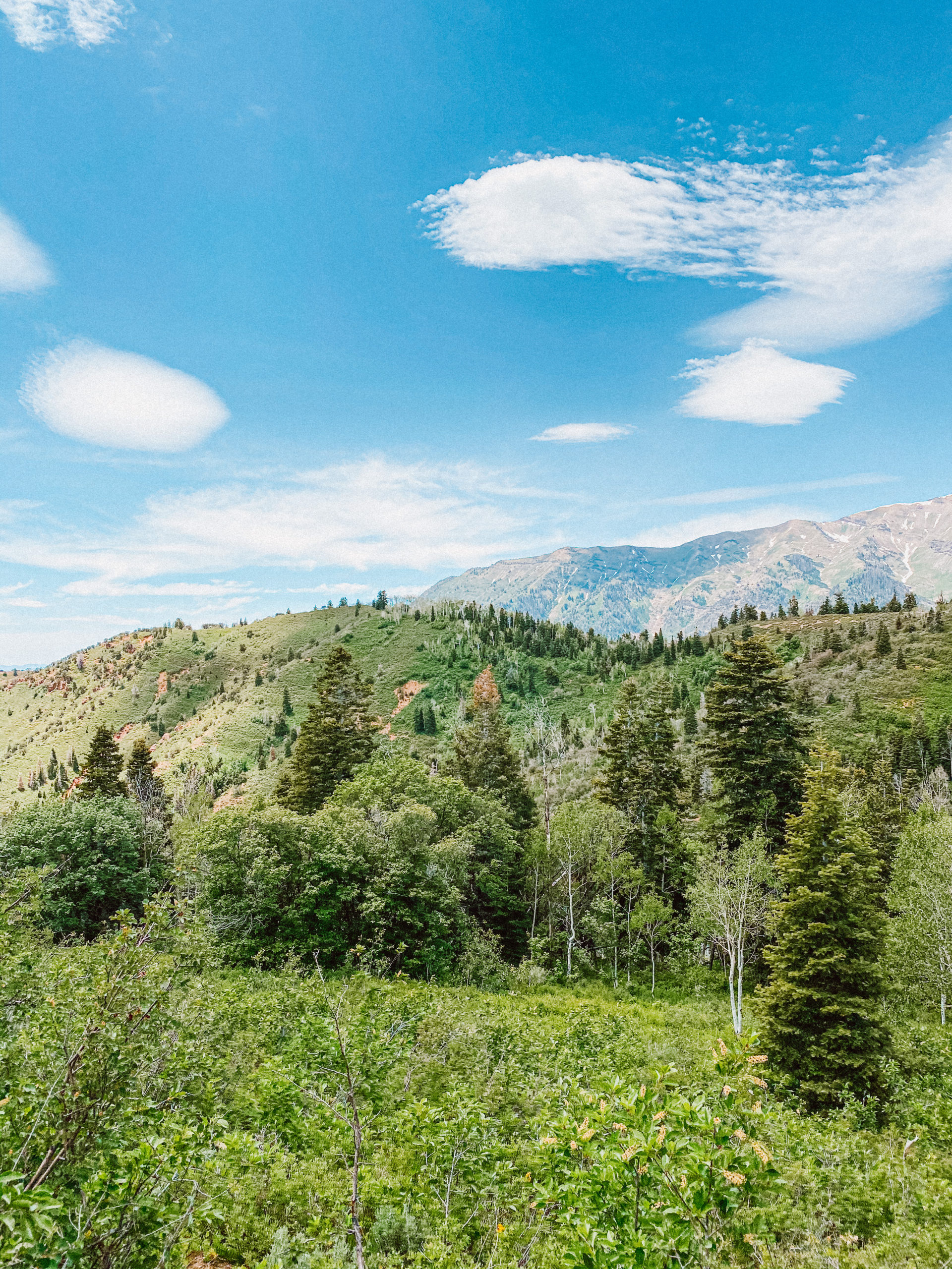 payson canyon utah 