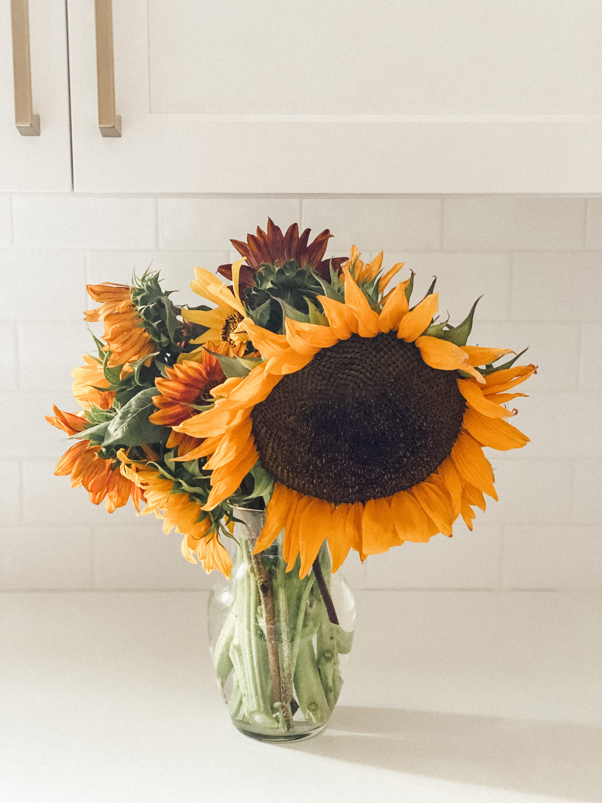 sunflower vase 