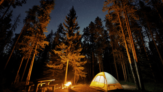 An image of camping at night with a campfire.